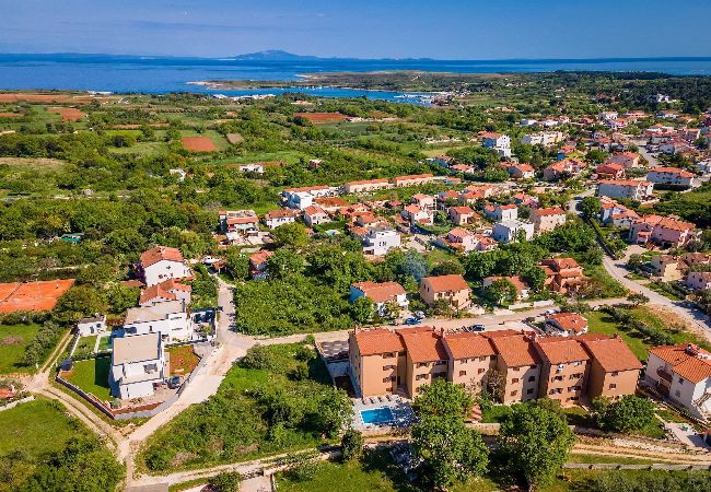 Ferienwohnung in Ližnjan - Modernes FeWo, Pool, Terrasse – Cesare 1 Ferienwohnung in Ližnjan - Modernes FeWo, Pool, Terrasse – Cesare 1