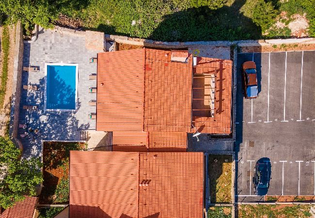 Ferienwohnung in Ližnjan - Modernes FeWo, Pool, Terrasse – Cesare 1 Ferienwohnung in Ližnjan - Modernes FeWo, Pool, Terrasse – Cesare 1