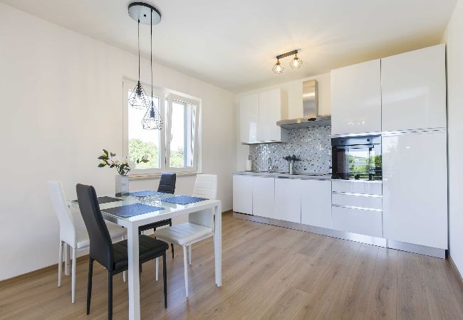 Ferienwohnung in Ripenda Verbanci - Pool mit schöne Blick auf die Natur – FeWo Mirna Ferienwohnung in Ripenda Verbanci - Pool mit schöne Blick auf die Natur – FeWo Mirna