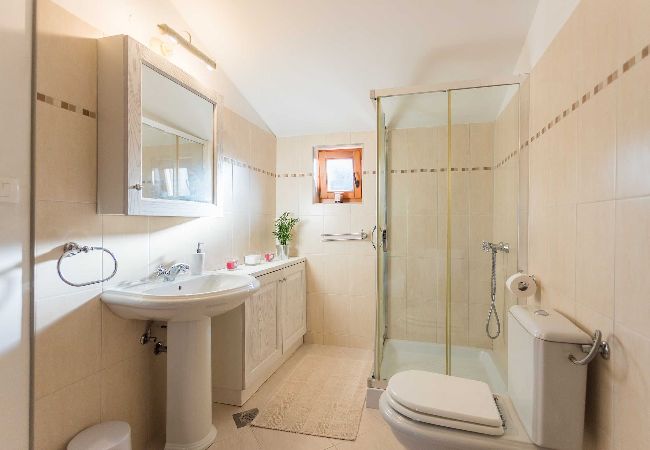 Ferienhaus in Pješcana uvala - Naturoase, Whirlpool, Fahrräder - Casa Vala Romana Ferienhaus in Pješcana uvala - Naturoase, Whirlpool, Fahrräder - Casa Vala Romana