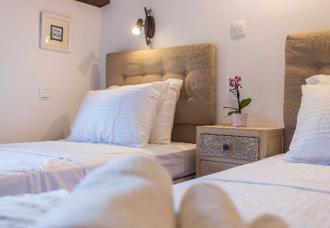 Ferienhaus in Pješcana uvala - Naturoase, Whirlpool, Fahrräder - Casa Vala Romana Ferienhaus in Pješcana uvala - Naturoase, Whirlpool, Fahrräder - Casa Vala Romana