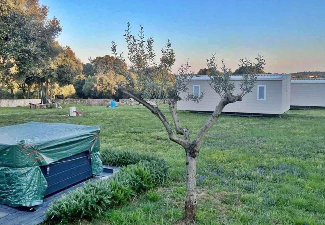 Ferienhaus in Pješčana uvala - Naturoase, Whirlpool, Fahrräder - Casa Vala Romana