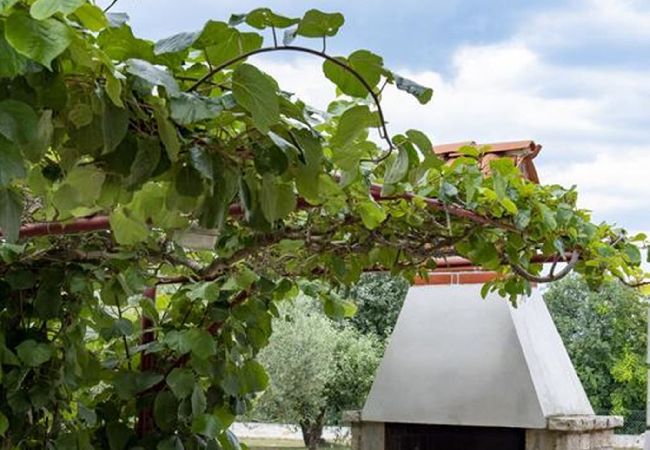 Ferienwohnung in Fažana - 50 Shades of Blue - Blumen C Ferienwohnung in Fažana - 50 Shades of Blue - Blumen C