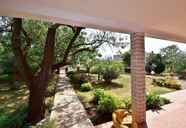 Ferienwohnung in Fažana - Schönes Apartment mit einem Schlafzimmer - Flowers A Ferienwohnung in Fažana - Schönes Apartment mit einem Schlafzimmer - Flowers A