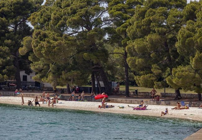 Ferienwohnung in Fažana - Schönes Apartment mit einem Schlafzimmer - Flowers A Ferienwohnung in Fažana - Schönes Apartment mit einem Schlafzimmer - Flowers A