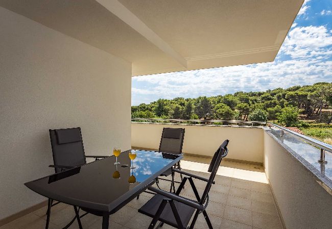 Ferienwohnung in Premantura - Villa Frida - Apartment Rosemary mit Balkon  Ferienwohnung in Premantura - Villa Frida - Apartment Rosemary mit Balkon