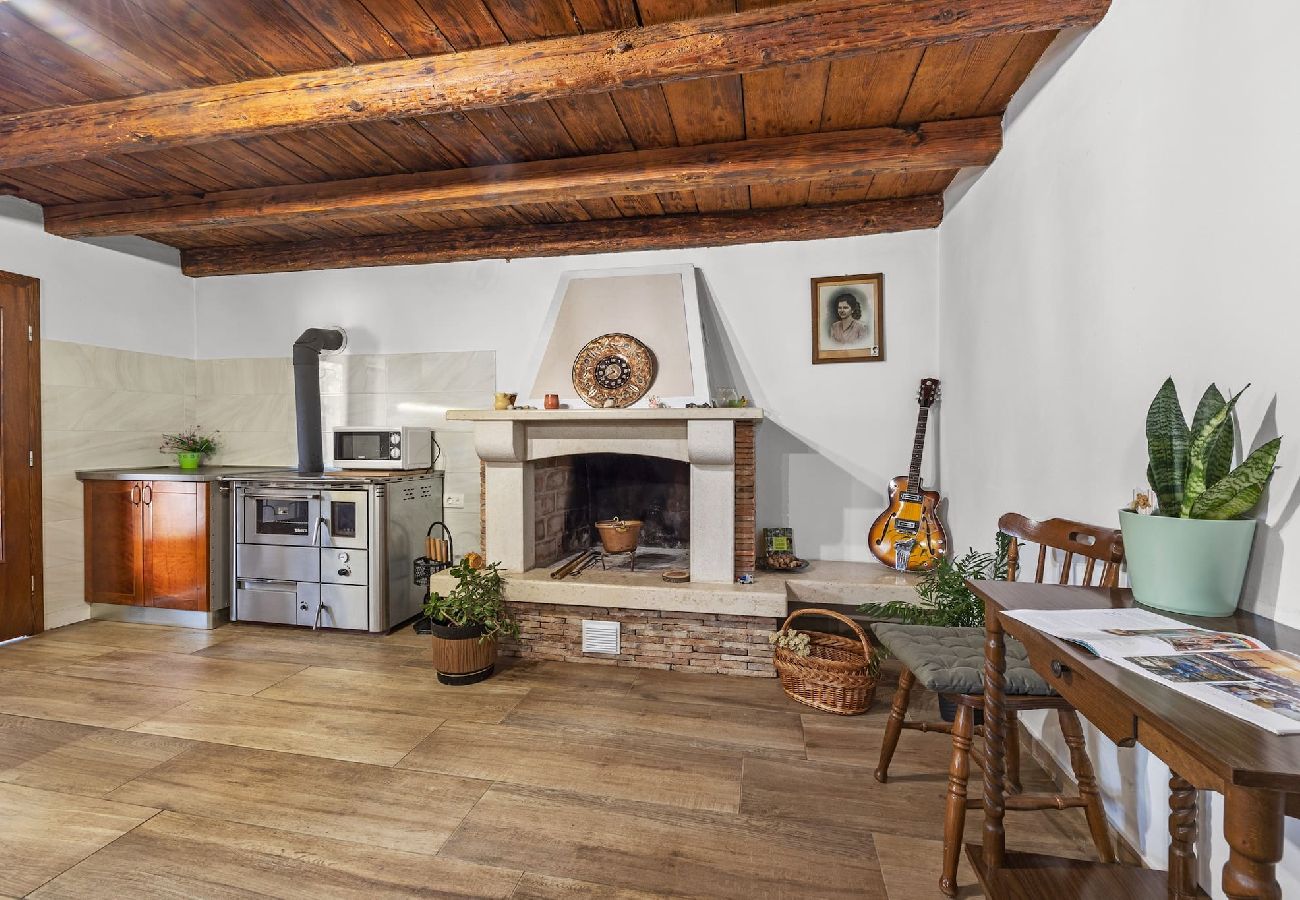 Villa in Nedešcina - Steinjuwel - Villa Katarina mit privatem Pool