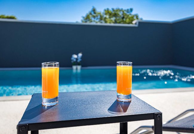 Villa in Gajana - Villa Marsel (4+2) - Privater Pool und Whirlpool Villa in Gajana - Villa Marsel (4+2) - Privater Pool und Whirlpool