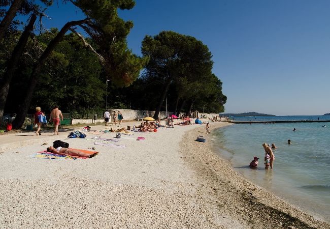 Ferienhaus in Fažana - Malerisches Fazana - Stadtzentrum - Haus Doda Ferienhaus in Fažana - Malerisches Fazana - Stadtzentrum - Haus Doda