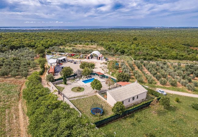 Villa in Vodnjan - Villa San Antonio mit privatem Pool Villa in Vodnjan - Villa San Antonio mit privatem Pool