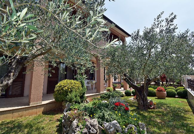 Ferienwohnung in Pula - Apartment Tina mit Terrasse und schönem Garten Ferienwohnung in Pula - Apartment Tina mit Terrasse und schönem Garten