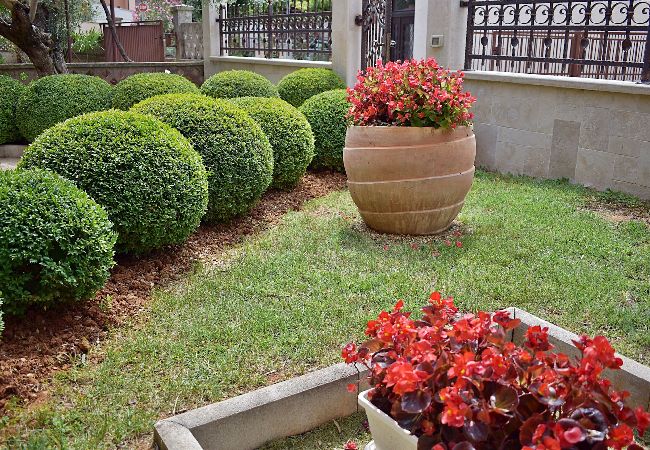 Ferienwohnung in Pula - Apartment Tina mit Terrasse und schönem Garten Ferienwohnung in Pula - Apartment Tina mit Terrasse und schönem Garten