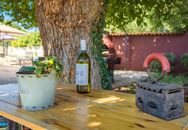 Ferienhaus in Pula -  Charmantes Ferienhaus Pina mit privatem Pool Ferienhaus in Pula -  Charmantes Ferienhaus Pina mit privatem Pool