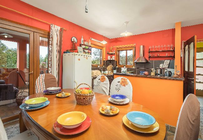 Ferienhaus in Pula -  Charmantes Ferienhaus Pina mit privatem Pool Ferienhaus in Pula -  Charmantes Ferienhaus Pina mit privatem Pool