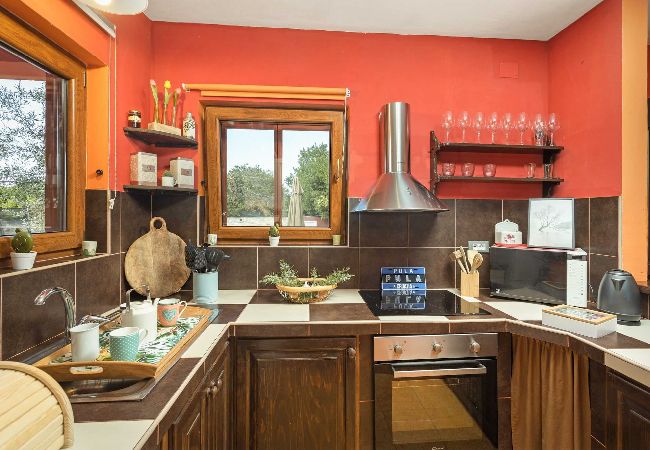 Ferienhaus in Pula -  Charmantes Ferienhaus Pina mit privatem Pool Ferienhaus in Pula -  Charmantes Ferienhaus Pina mit privatem Pool