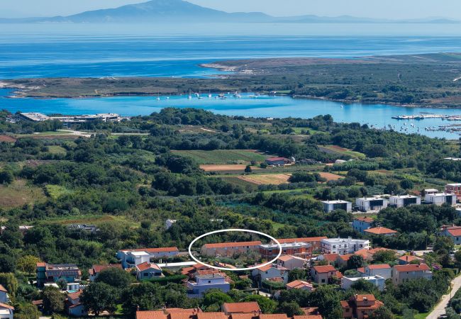 Ferienwohnung in Ližnjan - Charmantes Pool-Apartment Liznjan - Buneta Ferienwohnung in Ližnjan - Charmantes Pool-Apartment Liznjan - Buneta