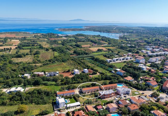 Ferienwohnung in Ližnjan - Charmantes Pool-Apartment Liznjan - Buneta Ferienwohnung in Ližnjan - Charmantes Pool-Apartment Liznjan - Buneta