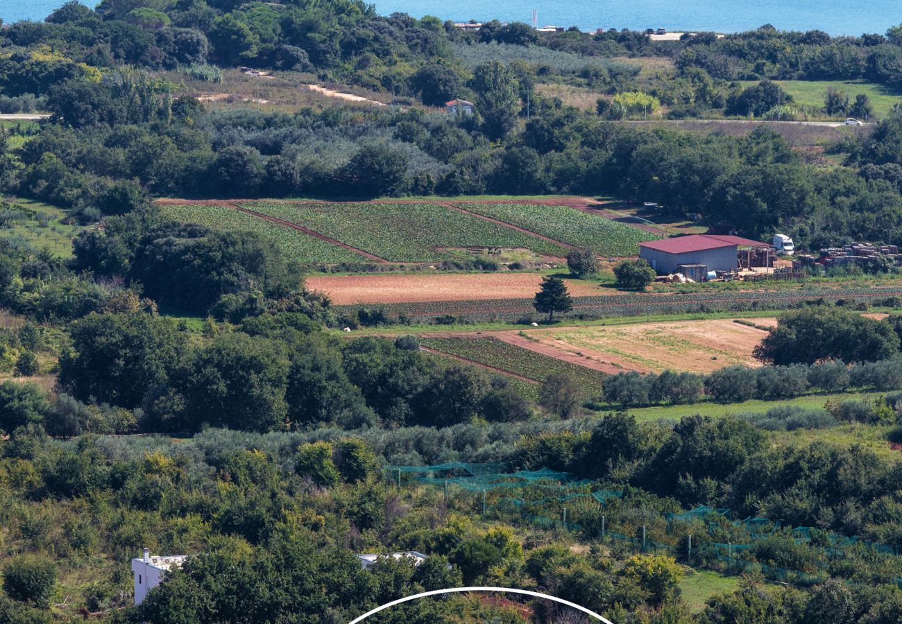Ferienwohnung in Ližnjan - Charmantes Pool-Apartment Liznjan - Buneta