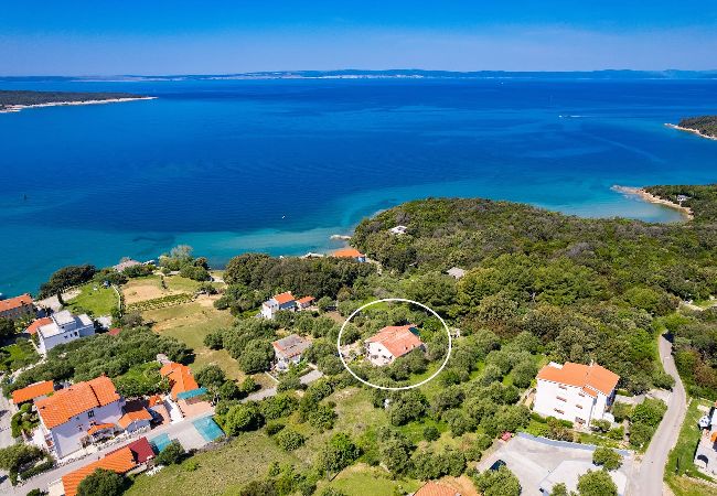 Ferienwohnung in Supetarska Draga - Anamar–Apartment mit zwei Schlafzimmern,Meerblick Ferienwohnung in Supetarska Draga - Anamar–Apartment mit zwei Schlafzimmern,Meerblick
