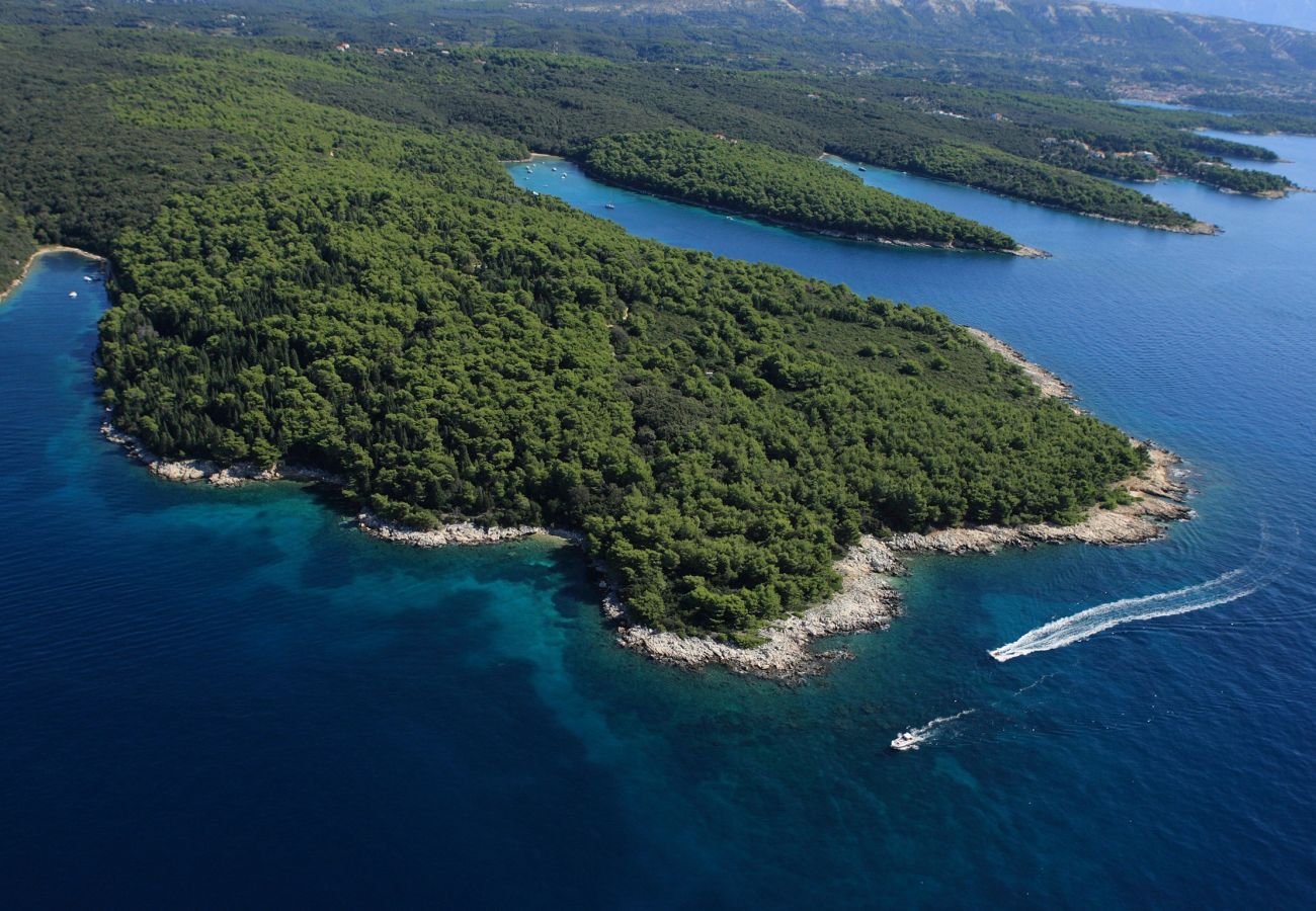 Ferienwohnung in Supetarska Draga - Anamar–Apartment mit zwei Schlafzimmern,Meerblick