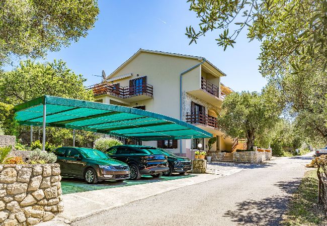 Ferienwohnung in Supetarska Draga - Anamar-Apartment mit einem Schlafzimmer,Meerblick Ferienwohnung in Supetarska Draga - Anamar-Apartment mit einem Schlafzimmer,Meerblick