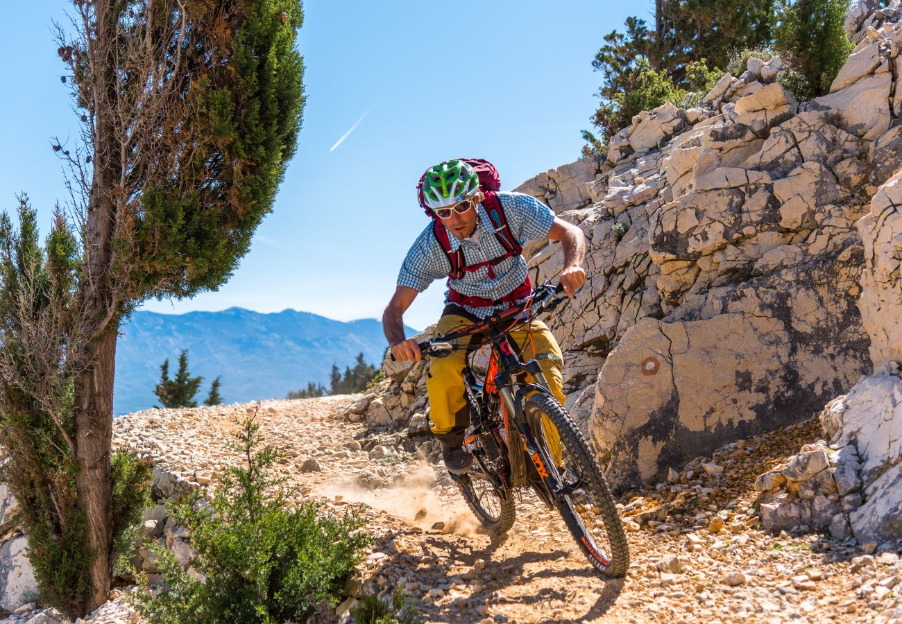 Ferienwohnung in Supetarska Draga - Anamar-Apartment mit einem Schlafzimmer,Meerblick