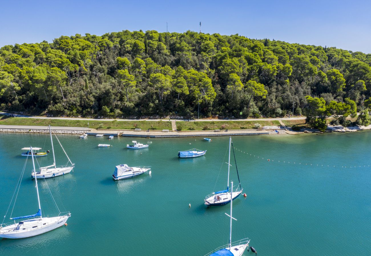 Ferienwohnung in Vintijan - Villa Vintiana – Gemeinschaftspool, 1 Schlafzimmer