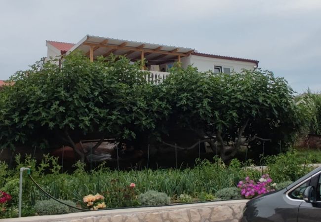 Ferienwohnung in Ražanac - Apartment Lemi - Apartment mit drei Schlafzimmern und Meerblick Ferienwohnung in Ražanac - Apartment Lemi - Apartment mit drei Schlafzimmern und Meerblick