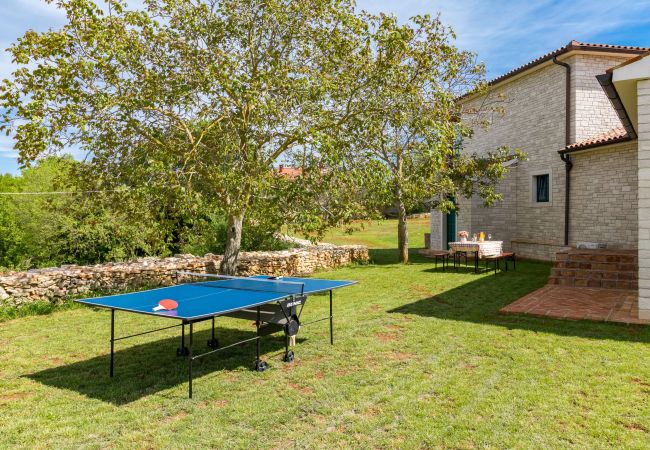 Villa in Vodnjan - Villa Boris mit privatem Pool Villa in Vodnjan - Villa Boris mit privatem Pool