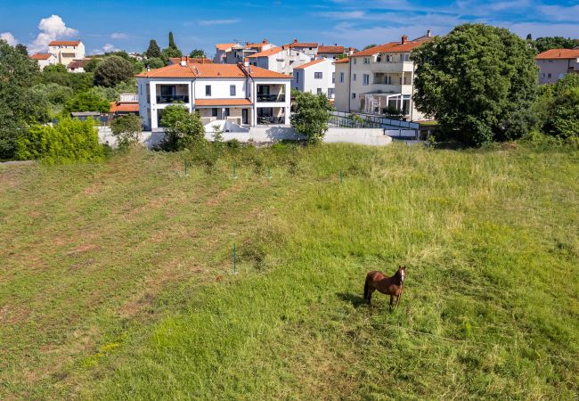 Villa in Štinjan - Villa Polaris - Luxuriöse Urlaubsoase Villa in Štinjan - Villa Polaris - Luxuriöse Urlaubsoase