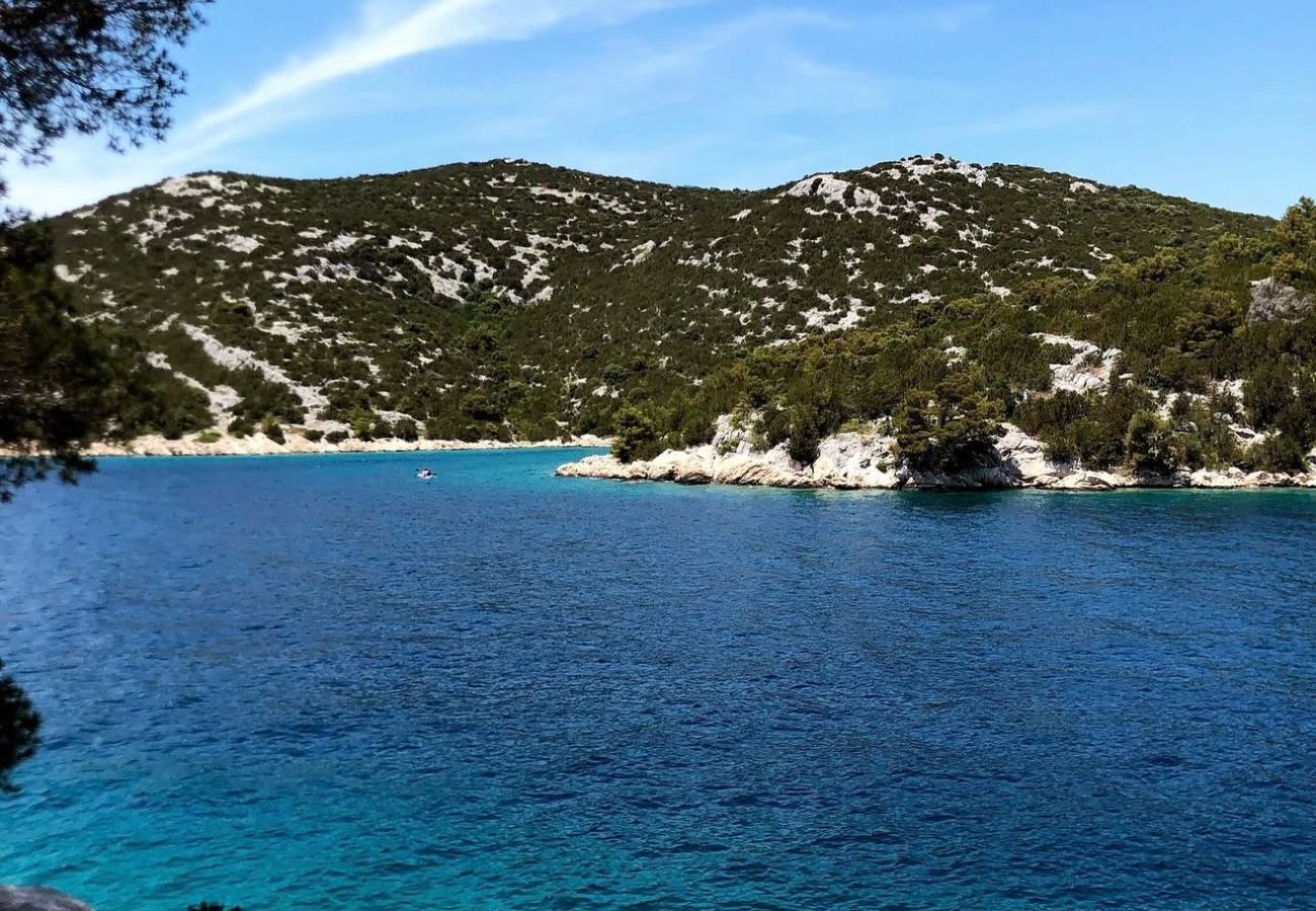 Ferienwohnung in Tribunj - Apartments Alaga - C 