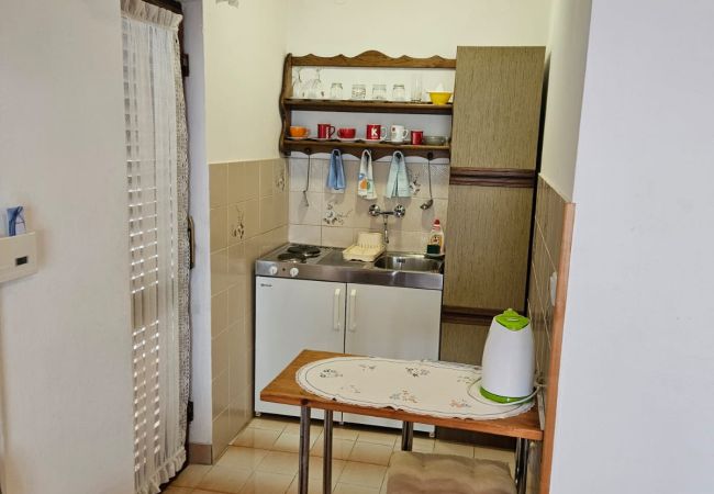 Studio in Tribunj - Apartments Nestor - studio apartment with a sea view A1 Studio in Tribunj - Apartments Nestor - studio apartment with a sea view A1