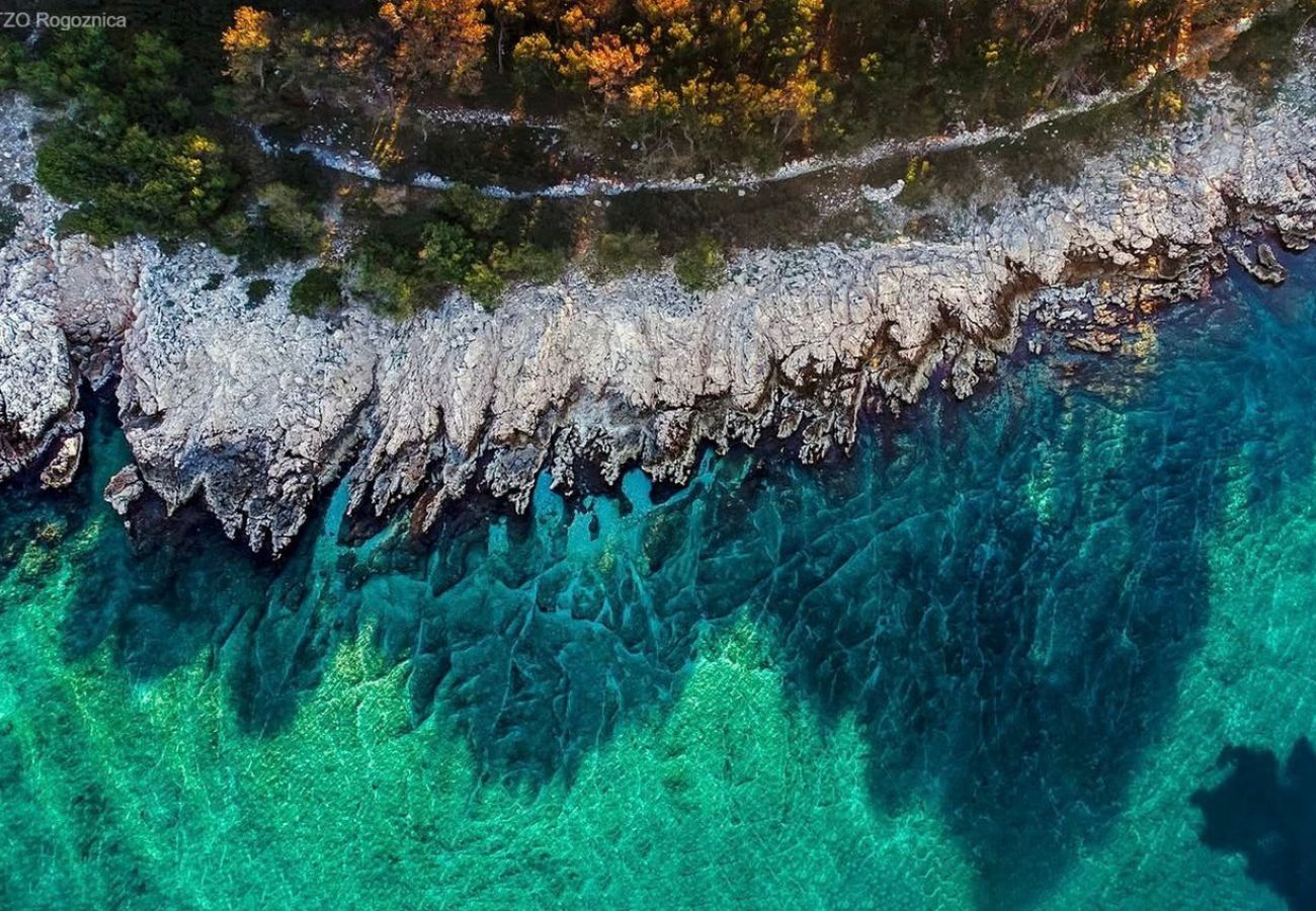 Ferienwohnung in Rogoznica - Apartments Sun Rogoznica - Meerblick A1