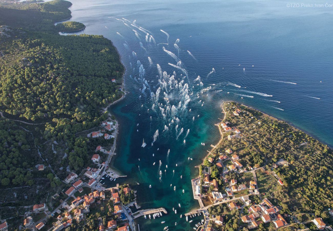 Ferienwohnung in Ugljan - Sea View Apartments Marvi (rechts)