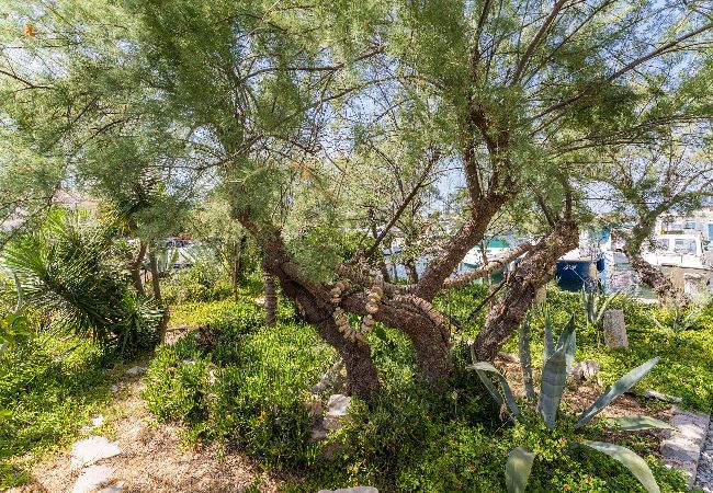 Ferienwohnung in Kukljica - Apartments Kukljica - Apartment mit einem Schlafzimmer und Meerblick Ferienwohnung in Kukljica - Apartments Kukljica - Apartment mit einem Schlafzimmer und Meerblick