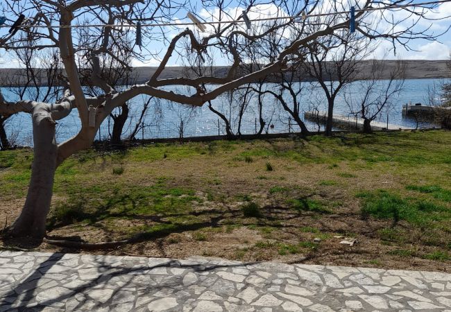 Studio in Dinjiška - Apartments Dubravica - Studio-Apartment Studio in Dinjiška - Apartments Dubravica - Studio-Apartment