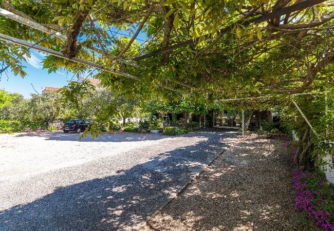 Ferienwohnung in Šibenik-Brodarica - Apartments Nena - Apartment mit einem Schlafzimmer und Balkon (Matea A1) Ferienwohnung in Šibenik-Brodarica - Apartments Nena - Apartment mit einem Schlafzimmer und Balkon (Matea A1)