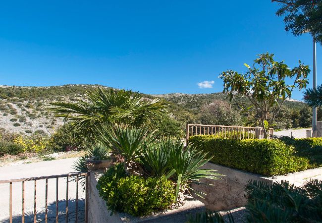 Zimmeranmietung in Primošten - Apartments und Zimmer Mikelin - Zimmer mit Gartenblick (Alen 4) Zimmeranmietung in Primošten - Apartments und Zimmer Mikelin - Zimmer mit Gartenblick (Alen 4)