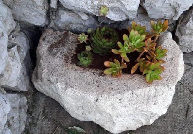 Ferienhaus in Pašman - Jadranka-Steinhaus - Haus mit drei Schlafzimmern und Terrasse Ferienhaus in Pašman - Jadranka-Steinhaus - Haus mit drei Schlafzimmern und Terrasse