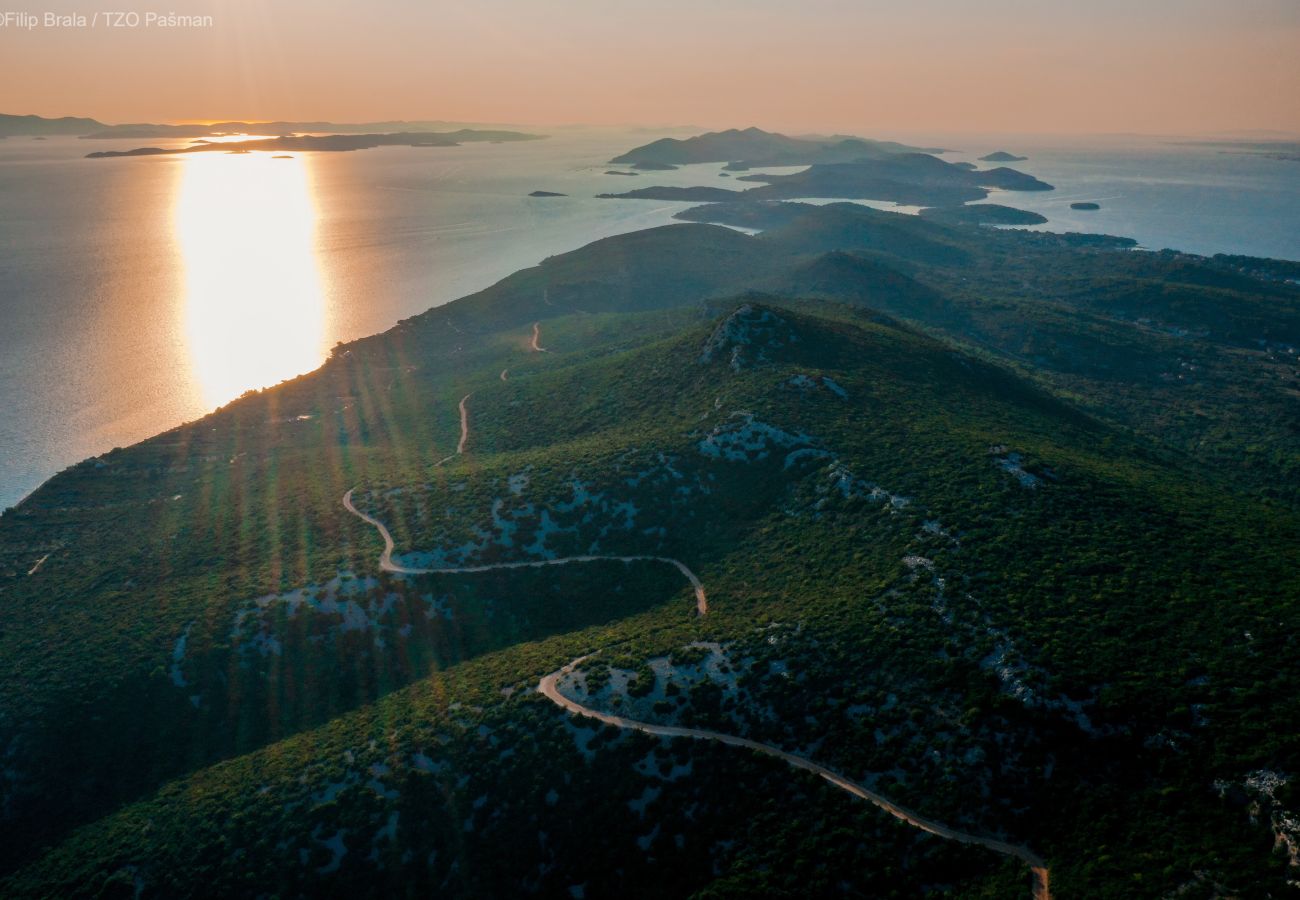 Ferienwohnung in Pašman - Apartments Torina Pašman - mit Meerblick A1