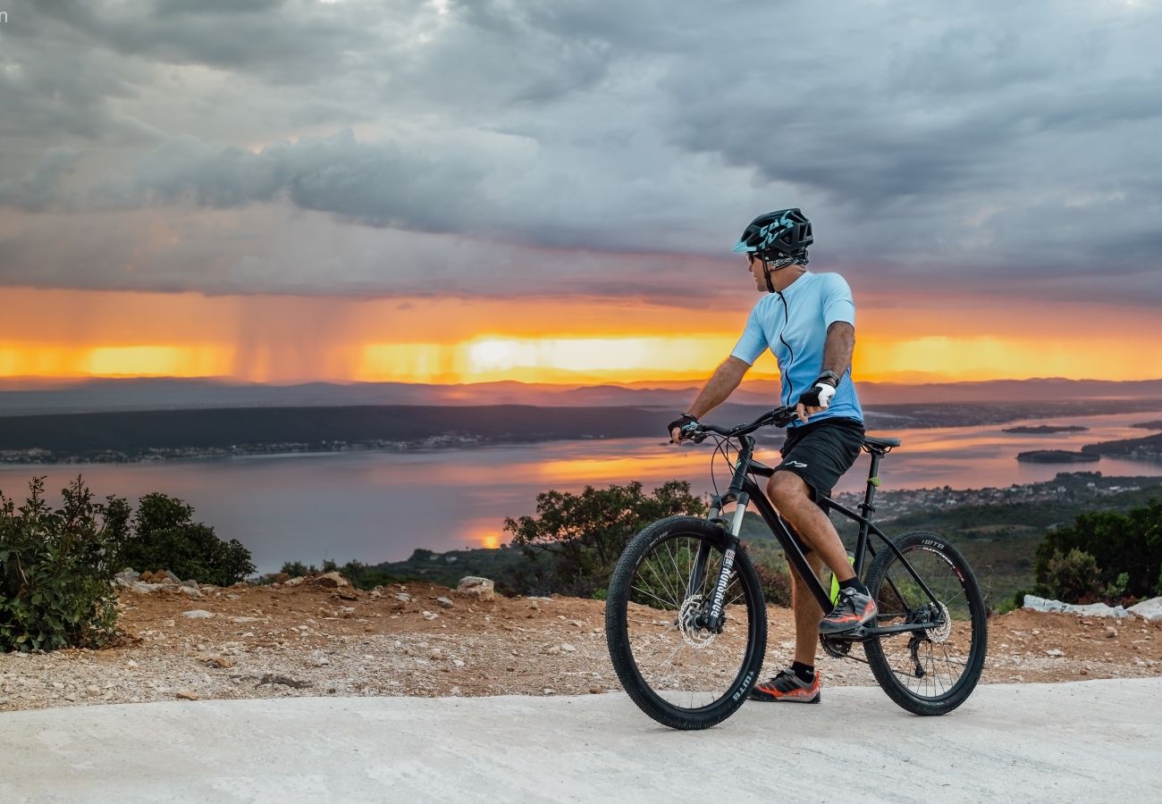Ferienwohnung in Pašman - Apartments Torina Pašman - mit Meerblick A1