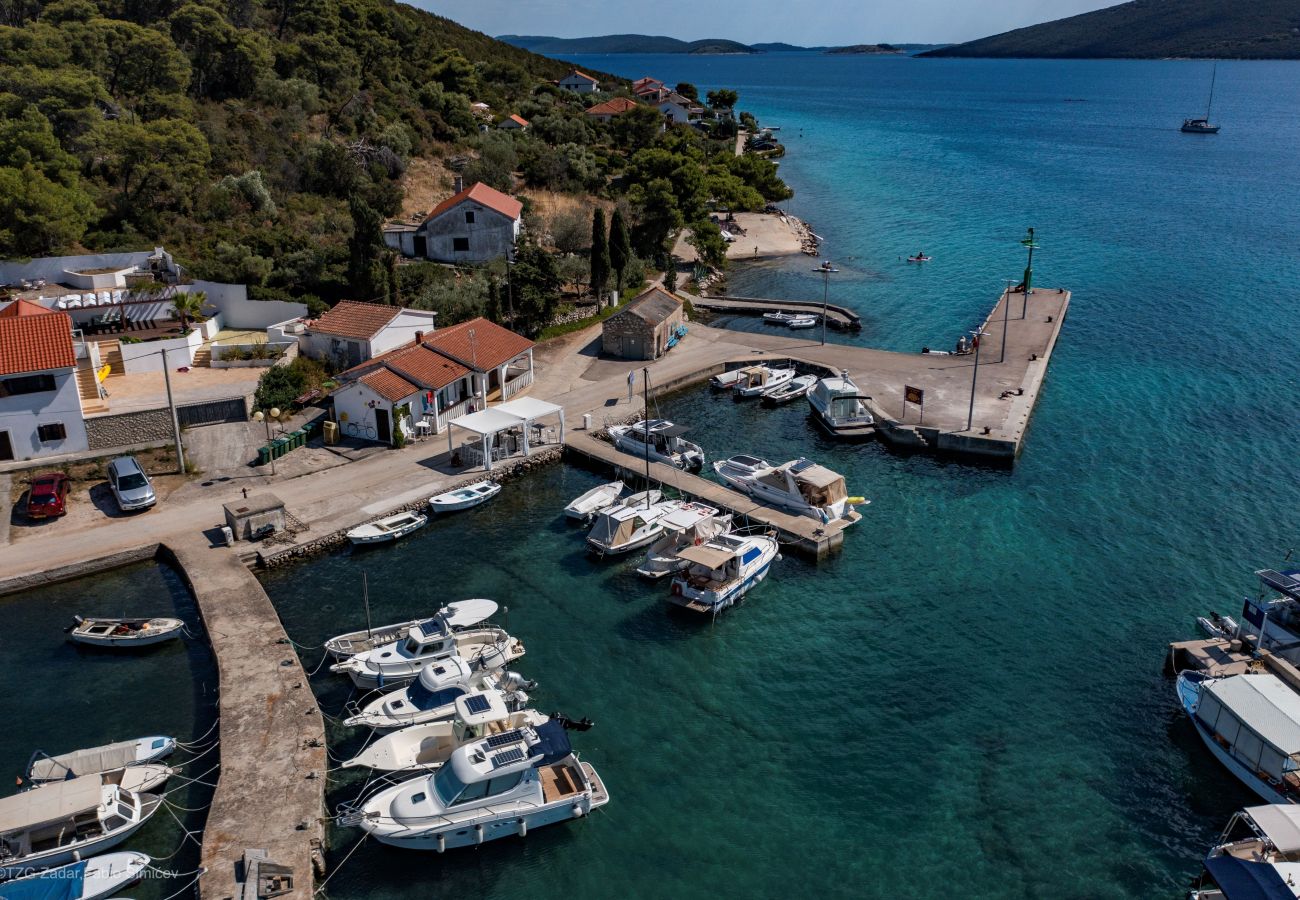 Studio in Brgulje - Studio-Apartments Darija - A1