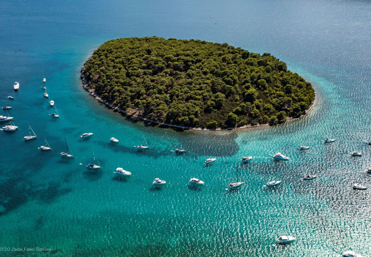 Studio in Brgulje - Studio-Apartments Darija - A1