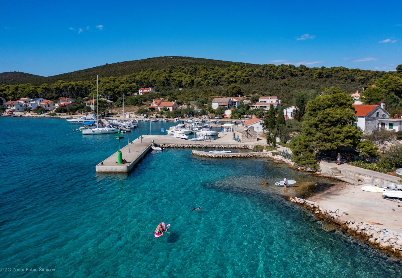 Studio in Brgulje - Studio-Apartments Darija - A2