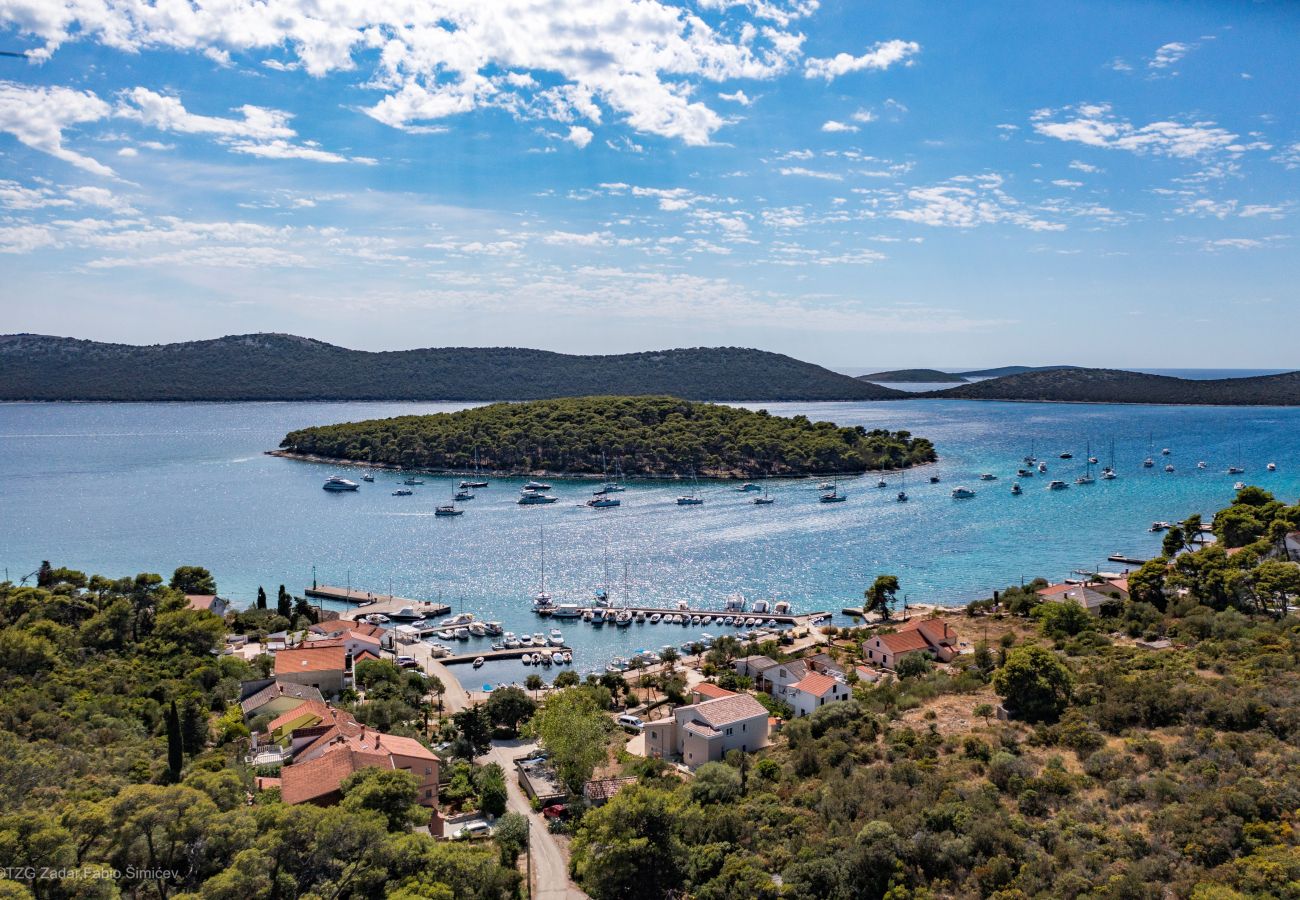 Studio in Brgulje - Studio-Apartments Darija - A2