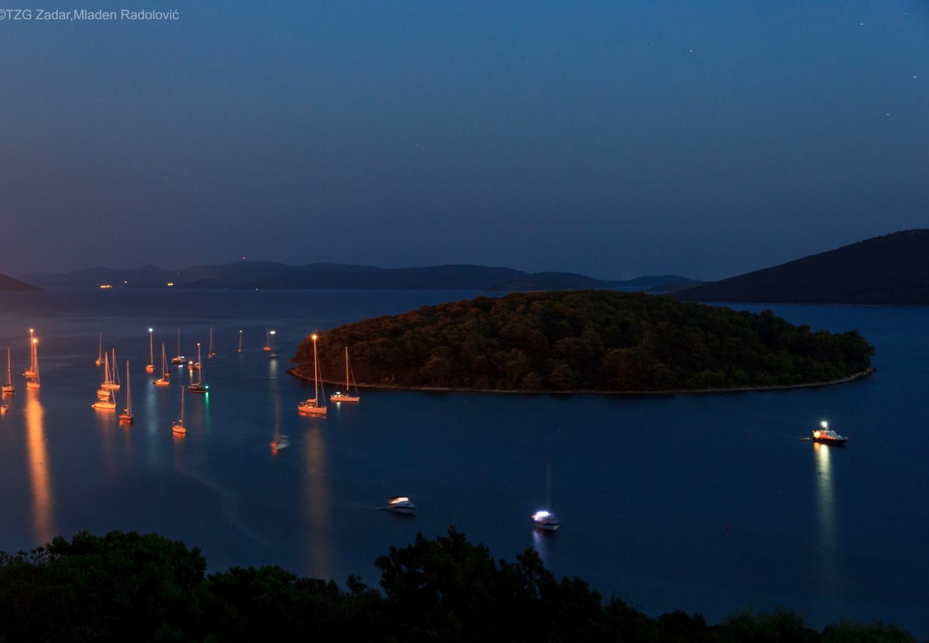 Studio in Brgulje - Studio-Apartments Darija - A2