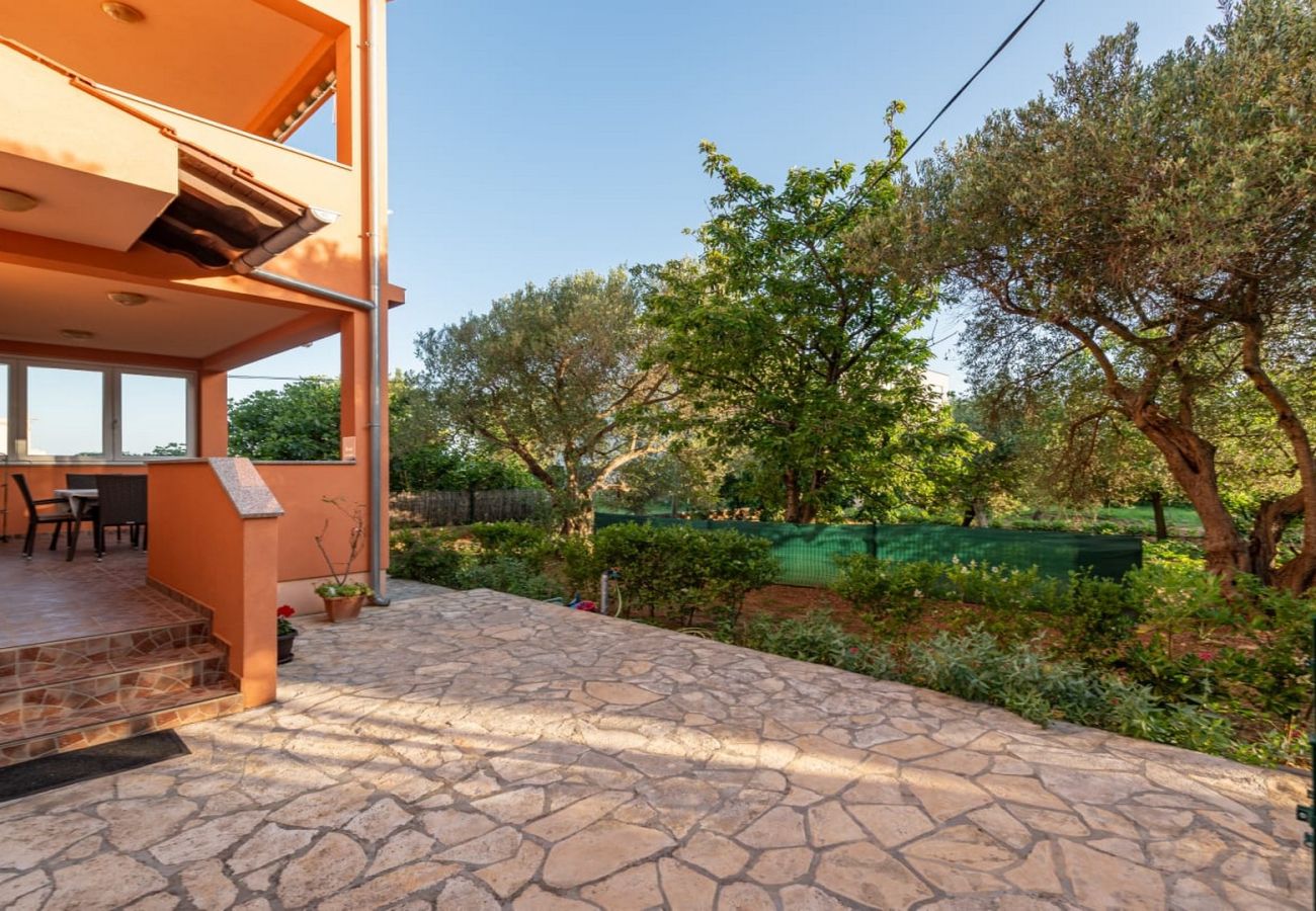 Ferienwohnung in Sukošan - Apartment Dora - Apartment mit zwei Schlafzimmern und Terrasse