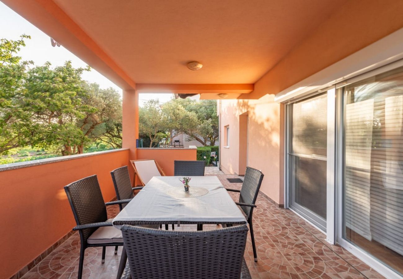 Ferienwohnung in Sukošan - Apartment Dora - Apartment mit zwei Schlafzimmern und Terrasse