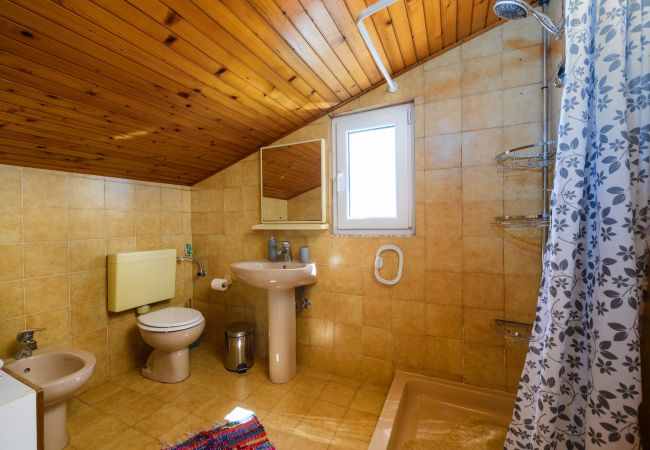 Ferienwohnung in Pula - Gemütliches Apartment Luka mit Gemeinschaftspool Ferienwohnung in Pula - Gemütliches Apartment Luka mit Gemeinschaftspool