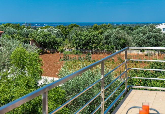 Ferienwohnung in Galižana - Apartment Vito mit Balkon Ferienwohnung in Galižana - Apartment Vito mit Balkon